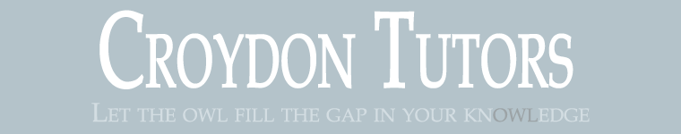 Croydon Tutors logo